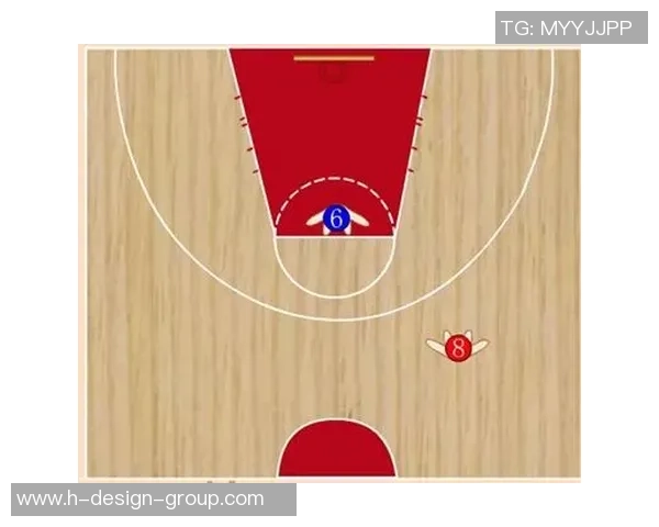 深入分析北京排球队快攻战术的特点与应用策略