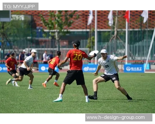 飞盘专题：聚焦成都飞盘队的状态